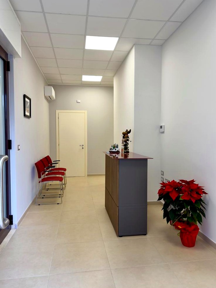 La ricezione dello studio